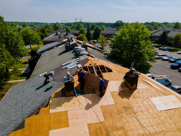 Best Storm Damage Roof Repair  in Milbank, SD
