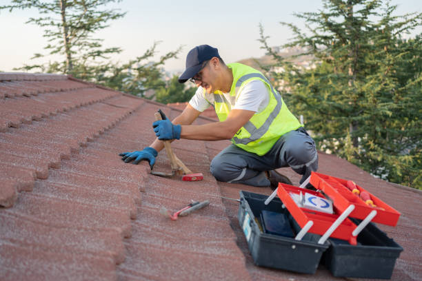 Professional Roofing Contractor in Milbank, SD